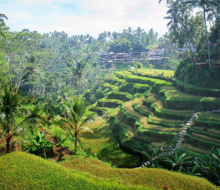 Ubud