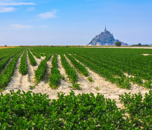 Mont St-Michel